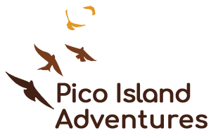 Pico Island Adventures